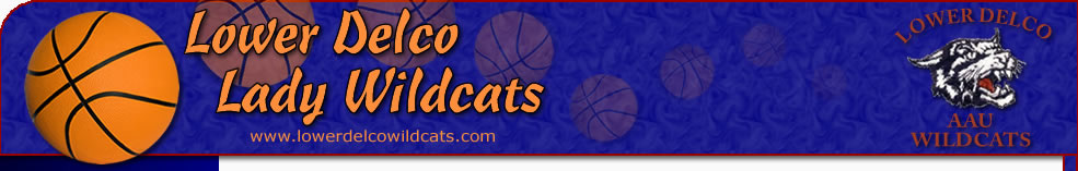 The original 2009 Lower Delco Wildcats website banner
